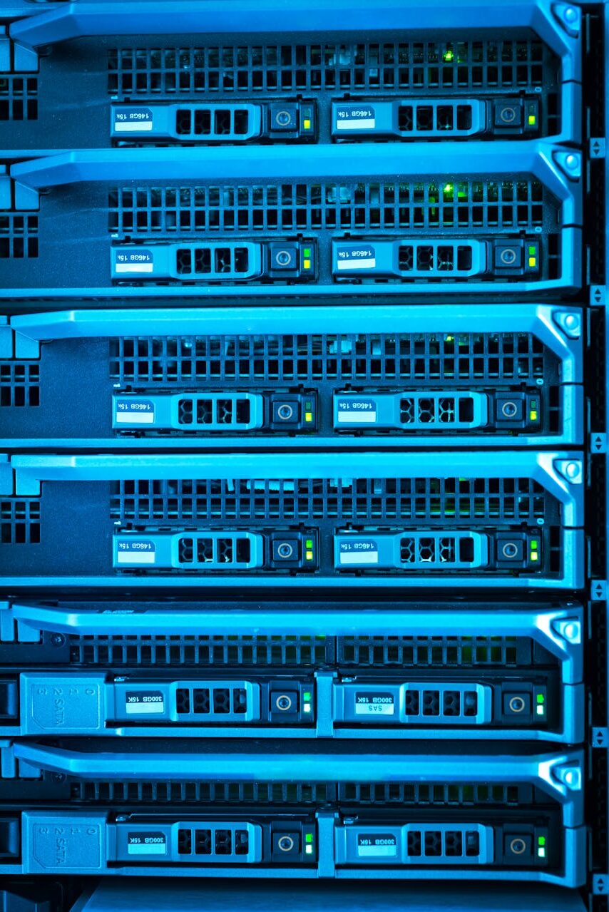 server 1 e1759402128533